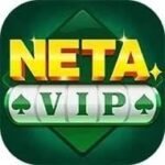 NETA VIP